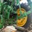 john-deere-7330-image-7