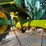 john-deere-7330-image-3