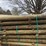 bundle-of-(24)-7"x8'-pressure-treated-posts-image-1