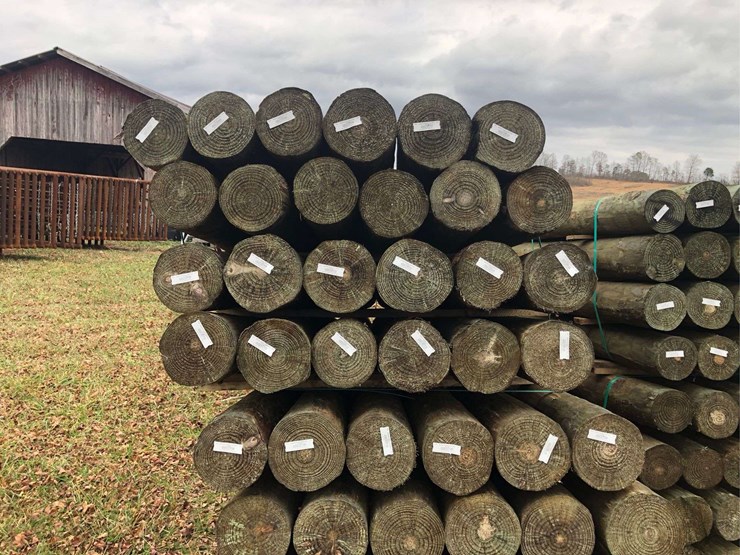 bundle-of-(24)-7"x8'-pressure-treated-posts-image-2