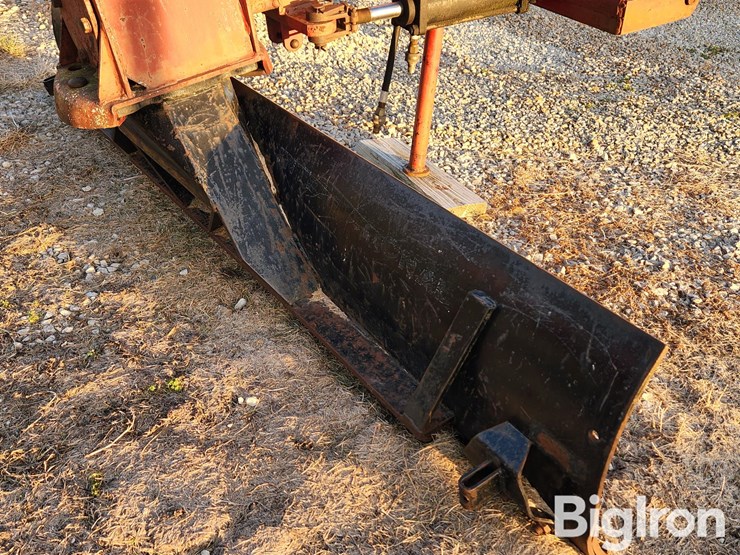 international-8-image-12