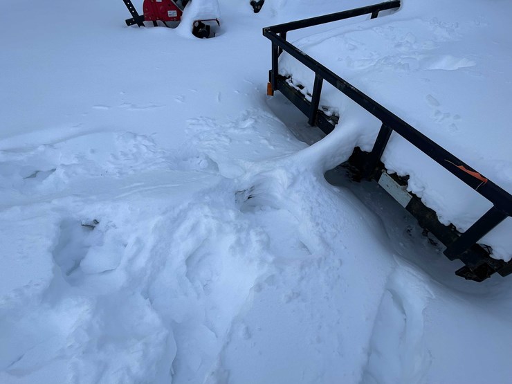 #7369-•-utility-trailer-image-3