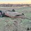 s/a-flatbed-implement-trailer-image-3