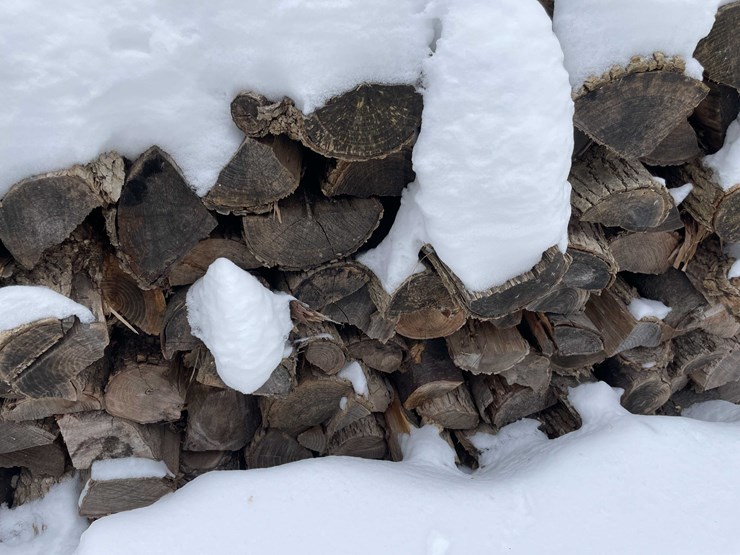 #7381-•-fire-wood-image-3