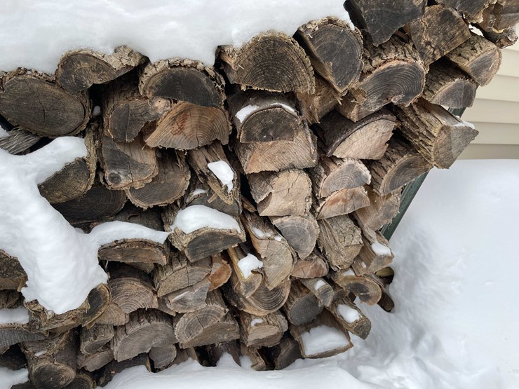 #7381-•-fire-wood-image-4