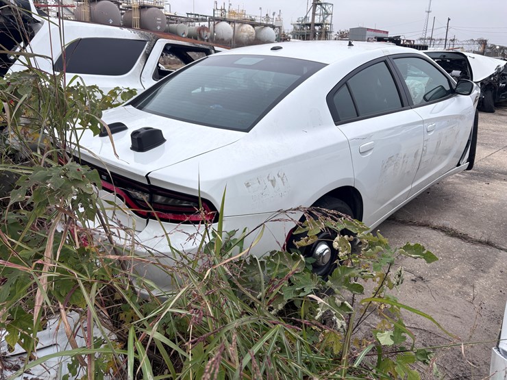 #74-•-2019-dodge-charger-image-3