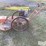 bachtold-weed-mower-image-8