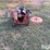 bachtold-weed-mower-image-6