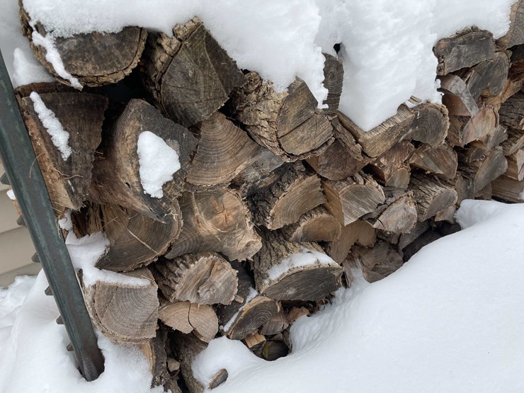 #7381-•-fire-wood-image-2