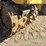 #30087-•-bomag-bpm8500-trench-compactor-image-5