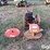 bachtold-weed-mower-image-2