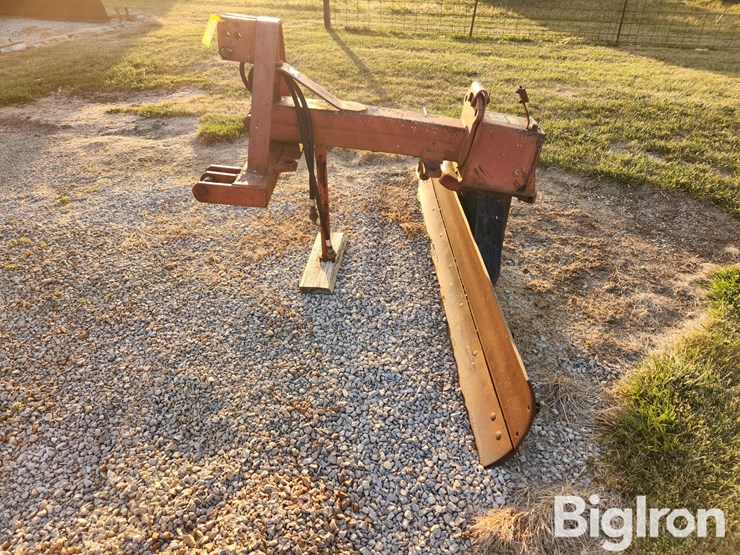 international-8-image-8