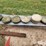 concrete-livestock-bowls-image-4
