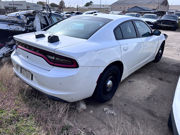 #54-•-2019-dodge-charger-image-3