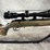 #1205-•-ruger-american,-17-hmr-bolt-action-rifle,-sn:-833-39110,-(neenah,-wi)-image-5