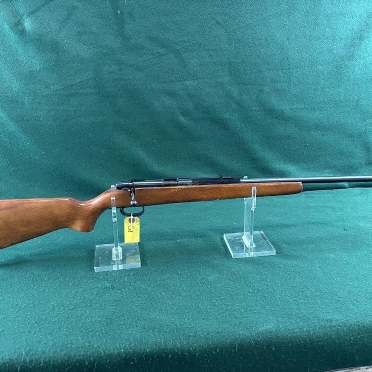 Remington Mdl.580 22LR Rifle