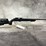 #1179-•-cz-455-tacticool,-22-lr-bolt-action-rifle,-sn:-c815148,-(neenah,-wi)-image-2