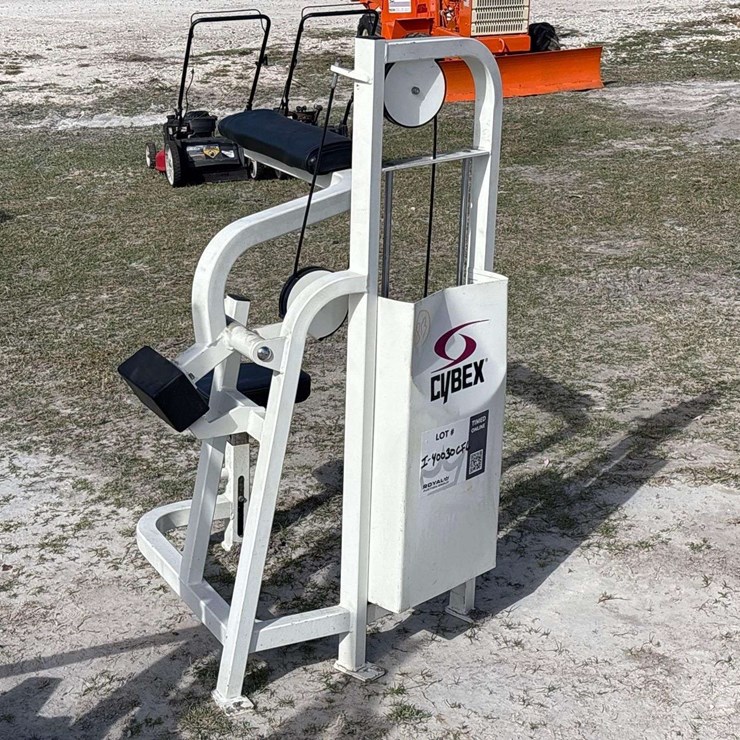 Cybex Ab Crunch Workout Machine