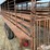 1979-neckover-t/a-24'-livestock-trailer-image-11