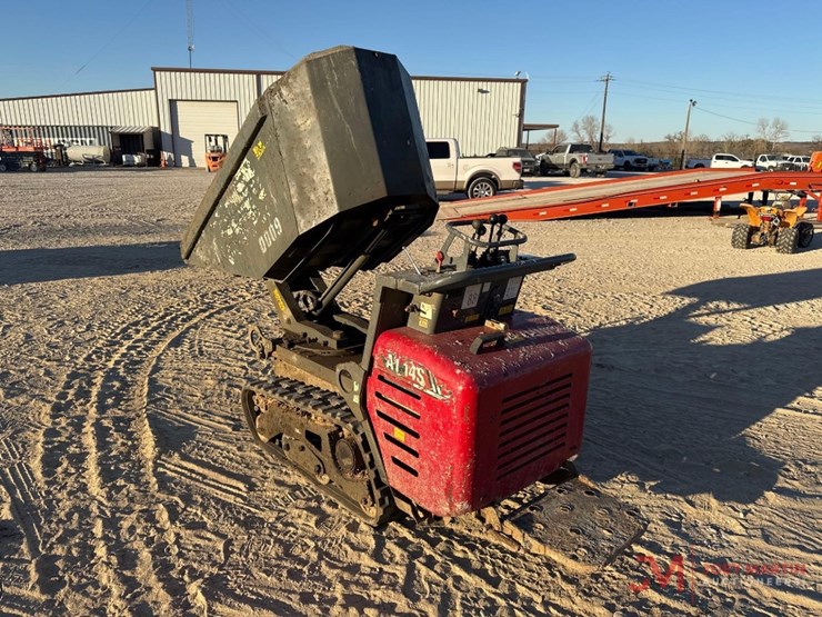 allen-at14s-concrete-buggy-image-3