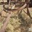 welch-ferris-wheel-bale-loader-image-10