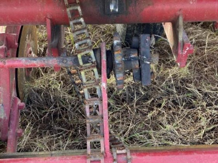 international-56-image-10