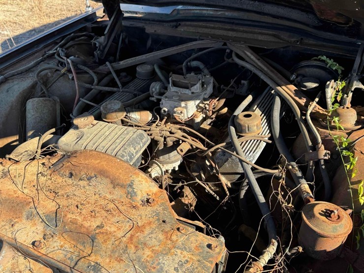 1964-ford-thunderbird-image-2