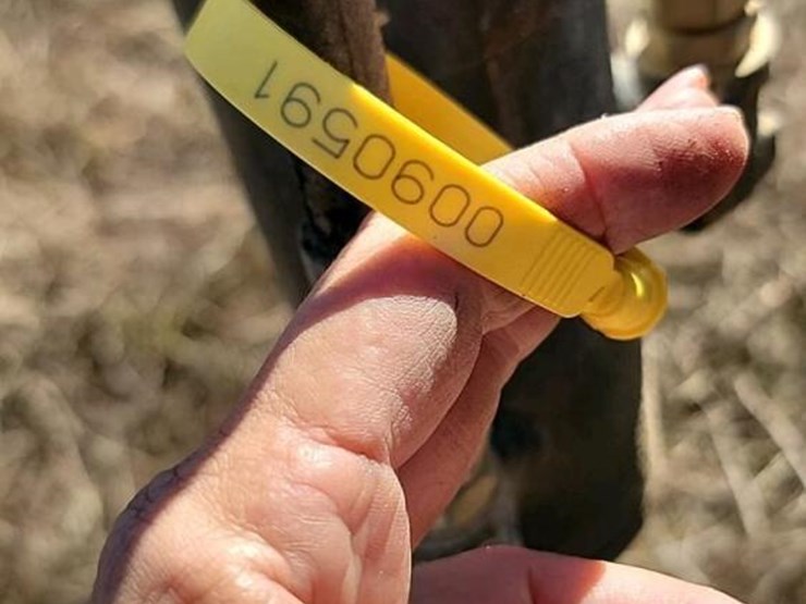 2020-caterpillar-302.7d-image-27