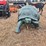 lifesize-turtle-image-1