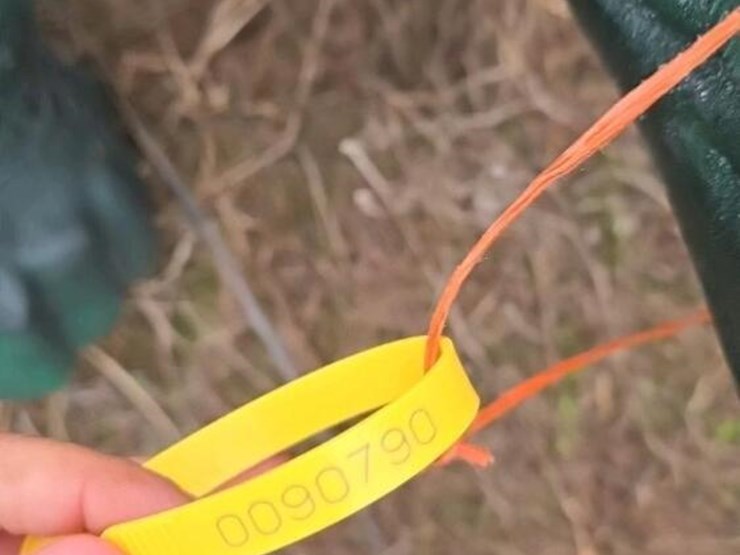 lifesize-turtle-image-3