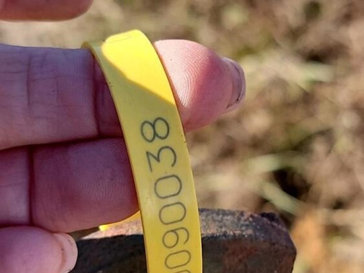 massey-ferguson-66-image-4