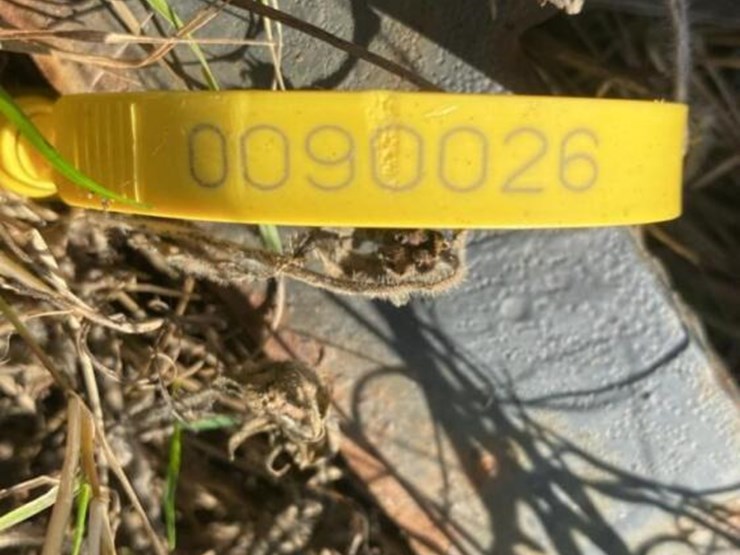 front-pallet-forks-for-skid-steer-image-1