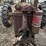 farmall-f-12-narrow-front-on-rubber-image-46