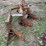allis-chalmers-3-bottom-mounted-plow-image-4