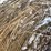 #3823-•-(6)-first-crop-hay-round-bales-image-9