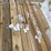 #3779-•-bundle-of-untreated-lumber-image-12