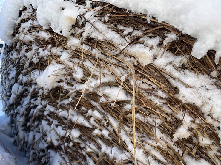 #3823-•-(6)-first-crop-hay-round-bales-image-5
