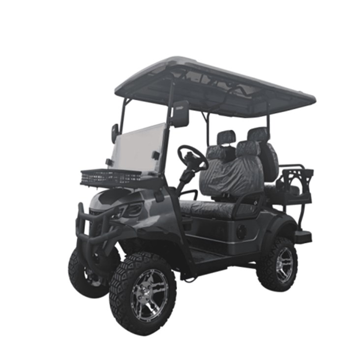 2025 SDLGC80 Golf Cart