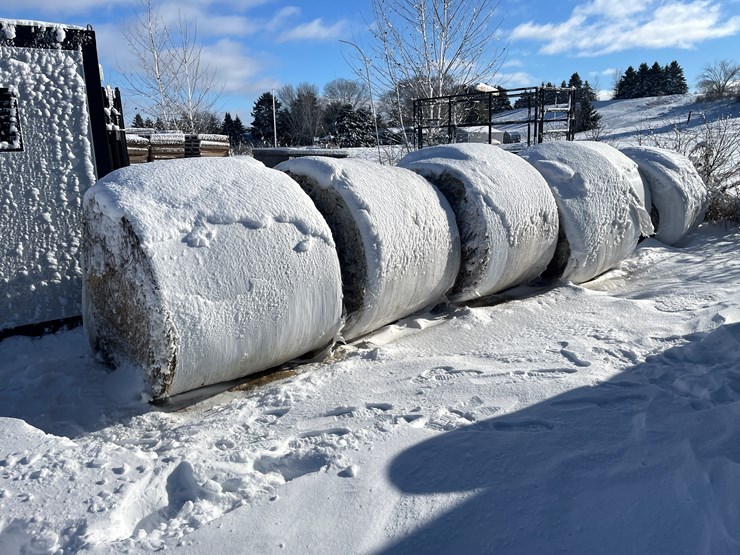 #3823-•-(6)-first-crop-hay-round-bales-image-1
