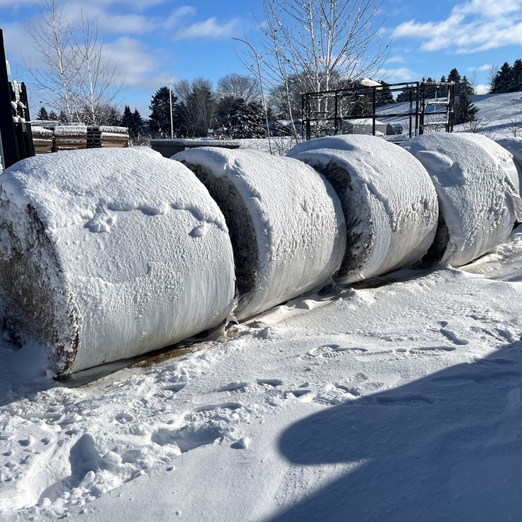 #3823 • (6) First Crop Hay Round Bales