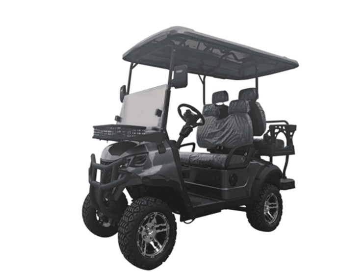 2025-sdlgc80-golf-cart-image-1