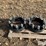case-ih-wheel-spacers-image-4