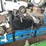 kinze-3660-image-9
