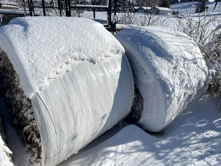 #3823-•-(6)-first-crop-hay-round-bales-image-4