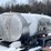 #3518-•-delaval-bulk-tank-image-5