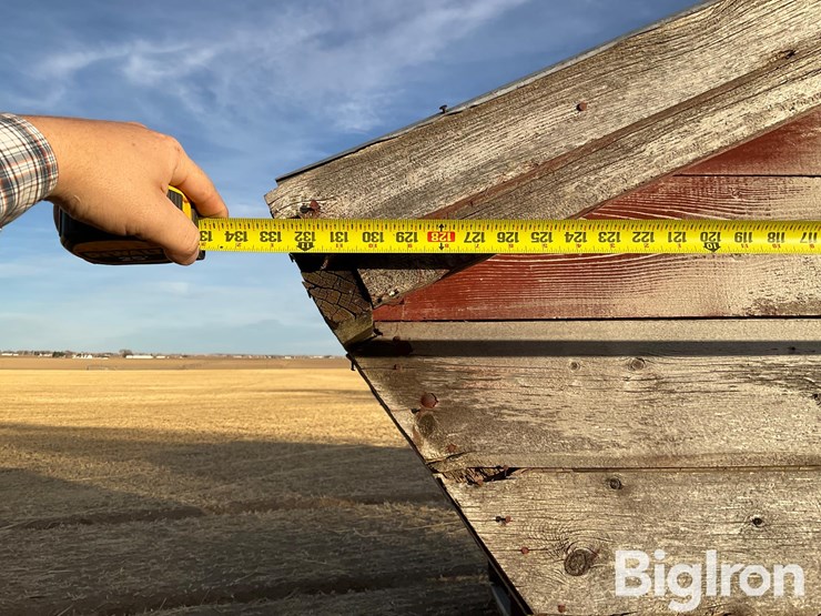 sheep-feeder-image-15