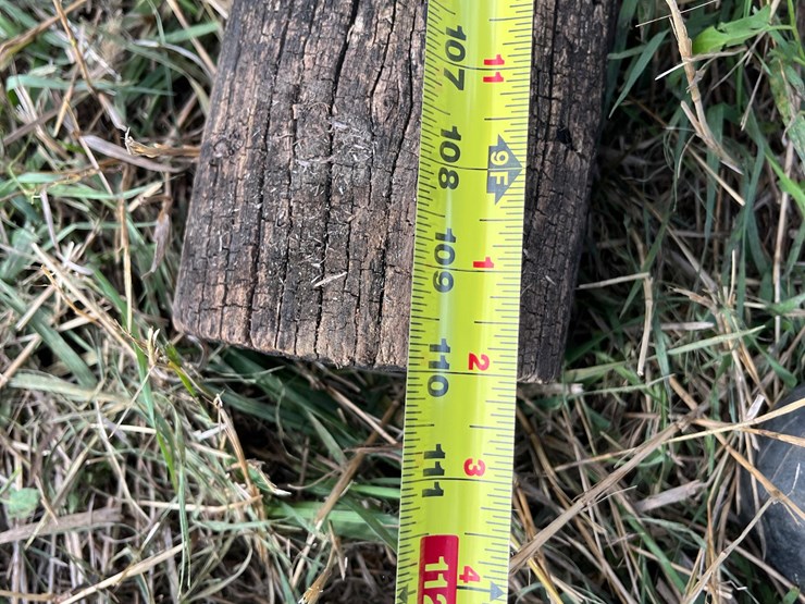 fence-posts-image-12