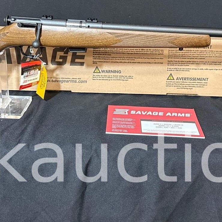 SAVAGE 93R17 GV 17HMR RIFLE (SN# 4734709) (1MAG/BOX)