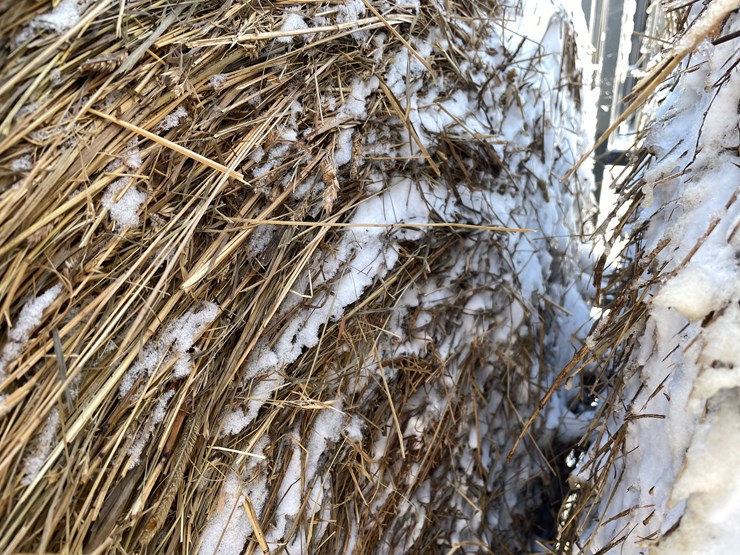 #3823-•-(6)-first-crop-hay-round-bales-image-11