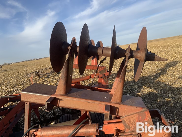 international-485-image-13